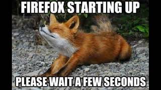 FireFox Starting Up Meme [upl. by Katzir658]