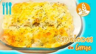 Canelones de carne sin gluten 🍖 [upl. by Esdnil572]