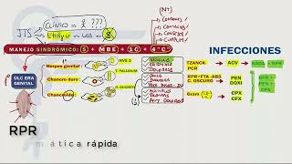 ITS infecciones [upl. by Hgielrac]