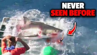 The Most Gruesome Shark Attacks Ever Recorded [upl. by Treva246]