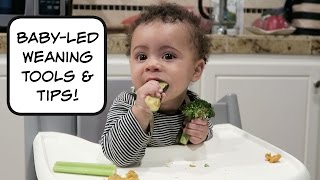 Baby Led Weaning for Beginners Review of Baby Led Weaning [upl. by Malcom]