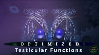 TESTES  Optimized Testicular Functions Steroidogenesis amp Spermatogenesis Volume Blood Flow [upl. by Nilyarg]