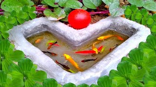 Menangkap Ikan Cupang warna warni Ikan Molly Ikan Glofish Ikan Cantik Yuyu Sawah Ikan Platy [upl. by Sajovich652]