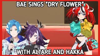 Bae Sings Dry Flower with Altare and Hakka [upl. by Yasui]