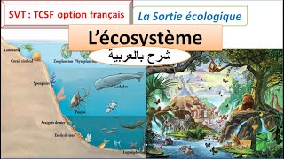 Notion décosystème  la sortie écologique TCSF écologie شرح بالعربية [upl. by Nolahp54]