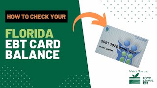 How to Check Florida EBT Card Balance [upl. by Hermann]