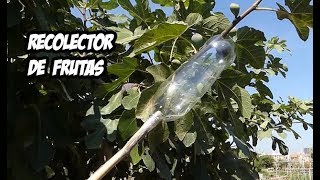 Como Hacer un Recolector de Frutas  Experimentos [upl. by Tierell]