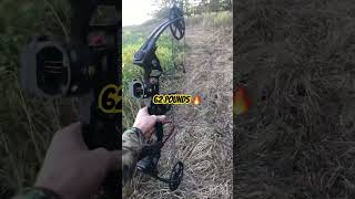 Is this good poundage trending viralvideo deer deerhunting hunting bigbuck huntinggame [upl. by Nrublim]