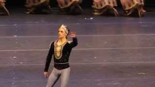 Sergei Polunin  La Bayadere 21102013 [upl. by Chrysa]