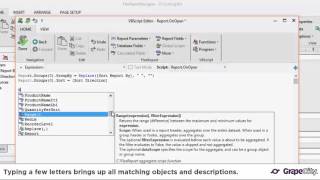 FlexReport Intellisense [upl. by Sheena]
