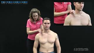 Shoulder Subcoracoid impingement test [upl. by Ivah]