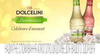 Dolcelini  Celebrare il Momento [upl. by Enrobso]