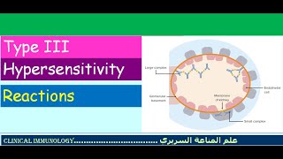 Lecture 6  Type III Hypersensitivity [upl. by Zosi]