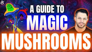 The Best Way to Use Magic Mushrooms [upl. by Joanna]