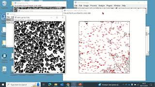 Fiji tip 3 Measuring particle sizes within an area using Fiji ImageJ software [upl. by Reed303]