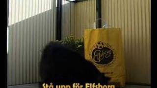 Stå upp för Elfsborg [upl. by Noirret]