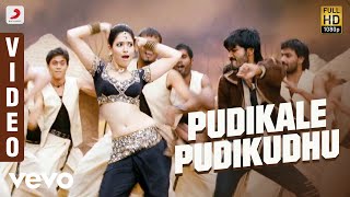 Venghai  Pudikale Pudikudhu Video  Dhanush Tamannah  DSP [upl. by Eux]