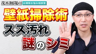 壁紙のスス汚れと謎のガンコシミを落とす方法とは？洗濯機の防水パンの掃除法とは？ [upl. by Biagi]