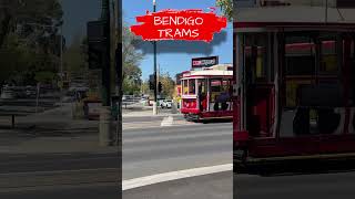 Bendigo 🚃 Trams Bendigo Victoria Australia 🇦🇺 exploreaustralia australiancity australiatrams [upl. by Aihcila]