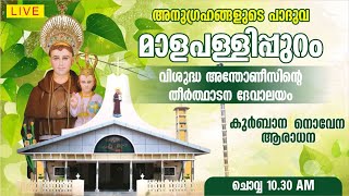 3 DECEMBER 2024  HOLY MASS  ST ANTONYS PILGRIM CHURCH MALAPALLIPURAM [upl. by Eserehc344]