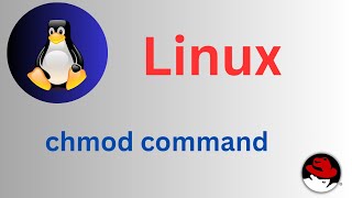 2550 Basic Linux Commands  chmod command Explained shortsvideo linux linuxtutorial [upl. by Arehc]