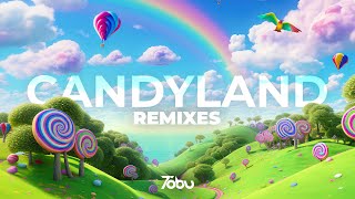 Tobu  Candyland Remixes Full Album [upl. by Haiasi]