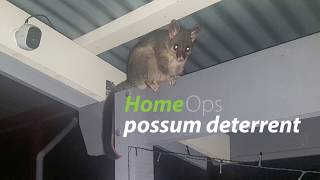 HomeOps Possum Deterrent [upl. by Akcirre]