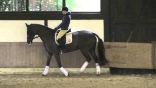 GHC Challenge 2013 How to ride the preliminary dressage test [upl. by Abbot]