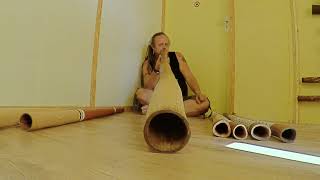 MTYidaki playing a Larrtjaŋa Winiwini Larry Gurruwiwi C  D yiḏaki  didgeridoo [upl. by Clark]