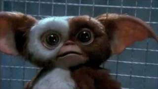 Dedicated to gizmo from gremlins [upl. by Gerrie]