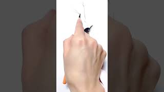 Drawing a bird step by step 🐦 shorts [upl. by Alaehcim]