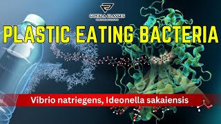 Plastic eating bacteria  Vibrio natriegens Ideonella sakaiensis ias currentaffairs bacteria [upl. by Aivatnuhs738]