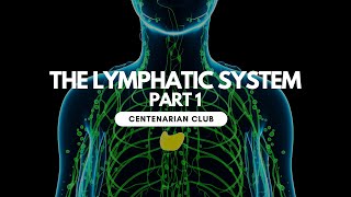 The Lymphatic System  Part 1 [upl. by Nylorac]