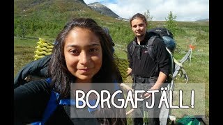 Fjällvandring  Borgafjäll Med 2 Hundar [upl. by Ruzich]