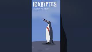 Icadyptes drifted far from home 🐧 prehistoric penguin perucetus [upl. by Ralfston478]