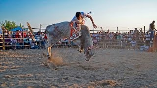 LA REBANCHA GALLITO DE MORELIA VS EL GADAFFI RANCHO EL CAPRICHO EN CALIFORNIA [upl. by Carrillo674]