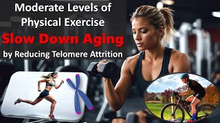 Different Types of Regular Physical Activity SLOW DOWN AGING by Reducing Telomere Attrition [upl. by Carrol]