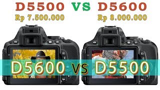 Preview Kamera DSLR Nikon D5600 VS D5500 2021  Bahasa Indonesia [upl. by Denys]