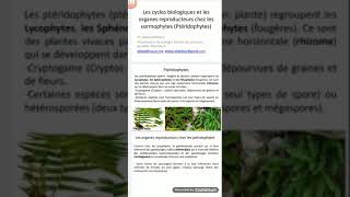 Les cormophytes  reproduction et cycles biologiques Ptéridophytes [upl. by Ulberto615]