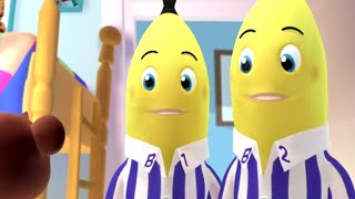 The Collection  Animated Episode  Bananas in Pyjamas Official [upl. by Gaither895]