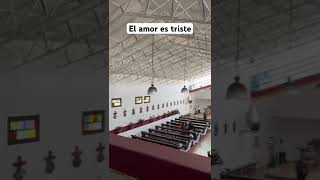 Estudiantina Teopanzolco El amor es triste tradiciones musica cuernavaca estudiantina misa [upl. by Janelle922]