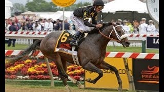 2013 Preakness Stakes  Oxbow [upl. by Halie]