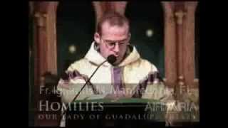 Oct 30  Homily How Many Will Go To Heaven [upl. by Urita715]