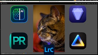 Noise Reduction Apps COMPARED [upl. by Ignatius]