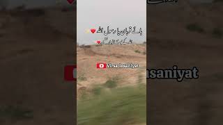 Qurban jaon ya Rasool Allah ❤️✨ deennation quran emotional trending viralvideo video [upl. by Landy]