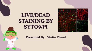 Live  Dead Staining by SYTO9 and PI [upl. by Grizel]