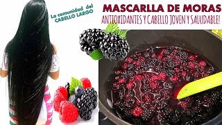 MASCARILLA DE MORAS antioxidantes CABELLO JOVEN y saludable 🍇🦄 [upl. by Nerraj]