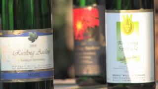 Weingut Ostermann Moezel Germany [upl. by Tala]