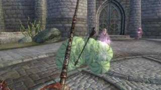 The Elder Scrolls 4 Oblivion  Greedy beggar [upl. by Eenram905]