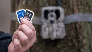 The BEST SD Cards For TRAIL CAMERAS [upl. by Adaynek995]